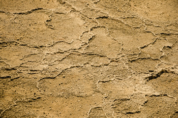 dry ground texture for background