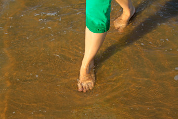 lady's foot on the sea beach