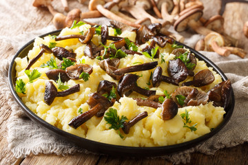 Forest  honey fungus mushrooms served with mashed potatoes close-up in a plate with ingredients. horizontal
