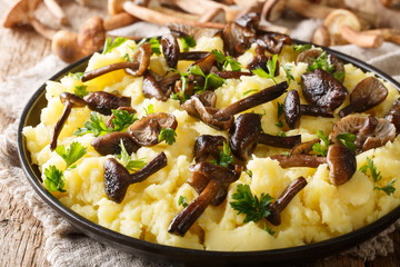 Rustic food forest mushrooms honey fungus with mashed potatoes close-up in a plate with ingredients. horizontal