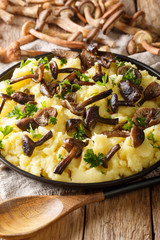 Roasted honey mushrooms with mashed potatoes close-up in a plate with ingredients. vertical