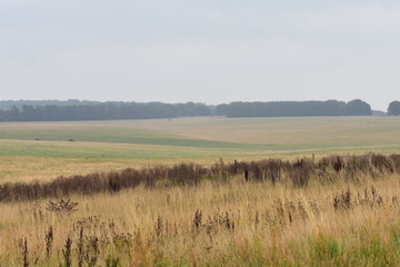 Cornwall Landschaft