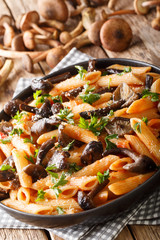 Italian penne pasta with Armillaria mellea mushrooms, tomatoes, cheese and parsley close-up in a plate. vertical