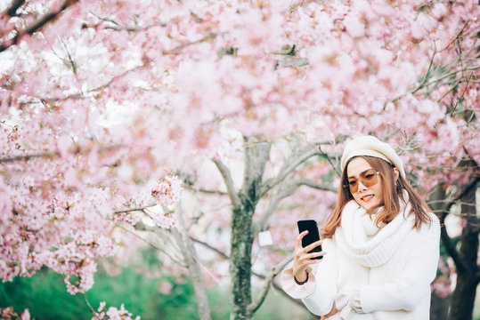 Woman taking self photo in spring season with cherry blossoms,sakura in Japan,outdoor park. asian female portrait
