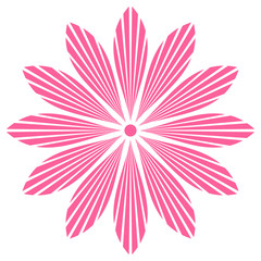 Pink Flower Vector Design