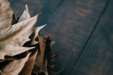 Close up of a pile of dry leaves on a wooden background