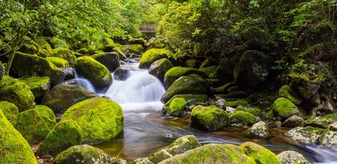 Streams and waterfall in New Zealand