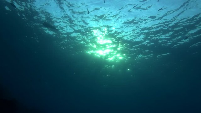 Sun rays penetrate at sunset through the surface of the water. Underwater light creates a beautiful veil, consisting of sunlight. Underwater ocean waves oscillate and flow with the rays of light