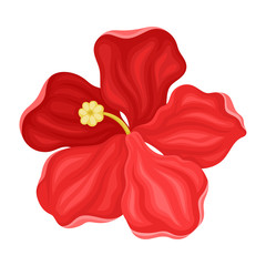 Hibiscus Detailed Flower in Full Bloom Vector Illustration © Happypictures
