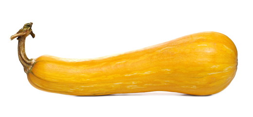 Yellow autumn gourd isolated on white background