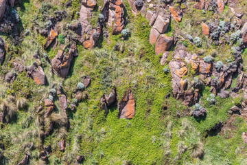 A Cliff at Phillip Island, orange and green colors