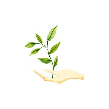 Watercolor arm with green plant. Hand drawn illustration isolated on white. Icon of hand is perfect for ecological design, social media icons, poster, stickers