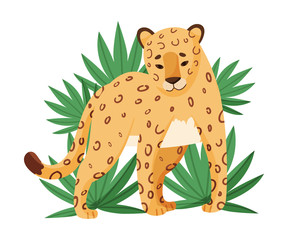 Spotted Leopard Stop Dead Looking Ahead Near Tropical Leaves Vector Illustration