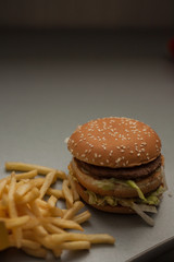 hamburger and french fries