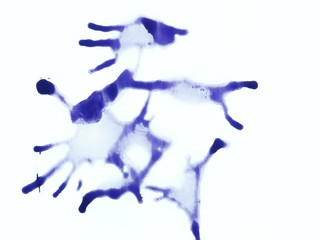 blue paint splash isolated on white background