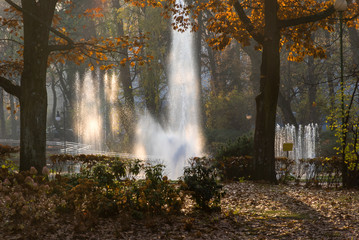 Białostocki Park Planty jesienią, Białystok,  Podlasie, Polska