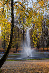 Białostocki Park Planty jesienią, Białystok,  Podlasie, Polska