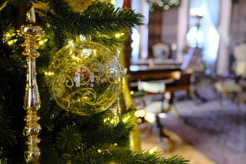 christmas tree in the room