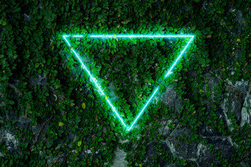 Fototapety  Background made of ivy leaves on stone wall with neon light triangle.
