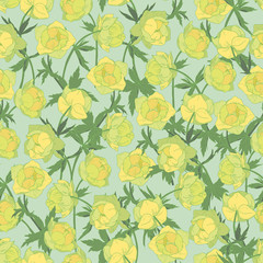 yellow spring globeflower seamless