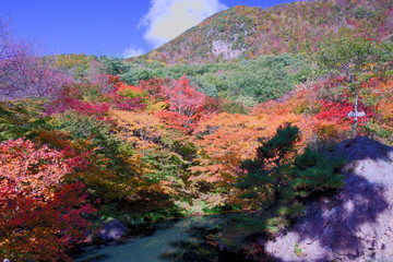 鏡池を囲むカラフルな紅葉が美しい紅葉山