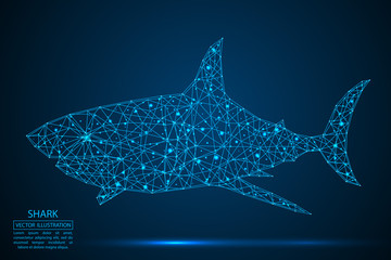 Abstract shark consists of lines and triangles. The illustration is made up of polygons and points, stars in the sky. Vector EPS 10.
