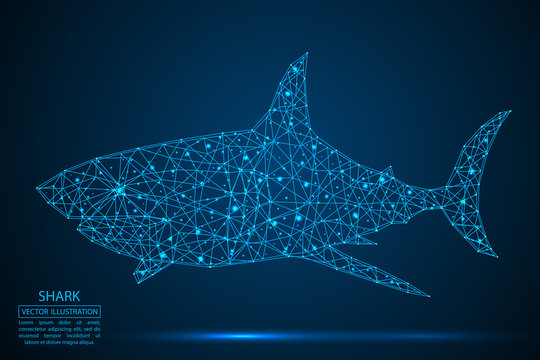 Abstract shark consists of lines and triangles. The illustration is made up of polygons and points, stars in the sky. Vector EPS 10.