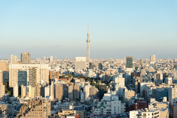 Fototapeta na wymiar 東京都文京区後楽園から見た東京の景色