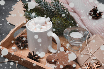 Obraz na płótnie Canvas cocoa, hot chocolate with marshmallows , spruce branch, cookies, gingerbread man, snow, snowflakes,