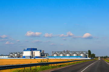 A chicken barn or coop neat golden field. Modern production facility and grain elevator nearby. Country road.