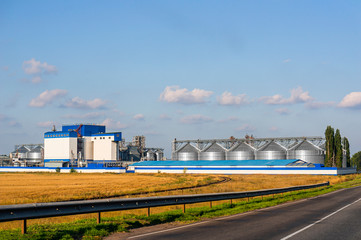 A chicken barn or coop neat golden field. Modern production facility and grain elevator nearby. Technology and nature © Marina
