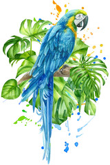 parrot bird and leaves of tropical plants, palm trees, monstera on an isolated white background, watercolor illustration, hand drawing