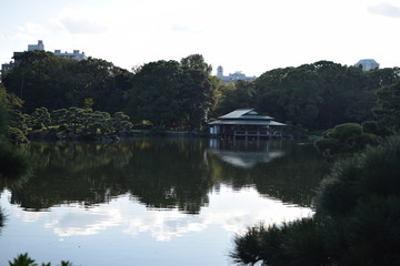 Fototapeta premium 清澄白河