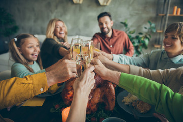 First point view of big family small little kids mature pensioners gather sit table celebrate thanksgiving day enjoy october fall feasting meal hold glass with alcohol cheers in house