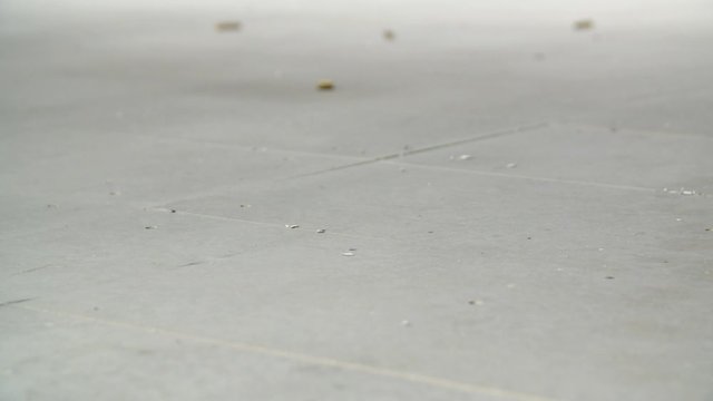 Bullet shell casing falling on shooting range ground, closeup
