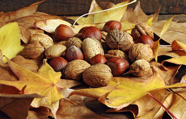 Variety of nuts on autumn leaves