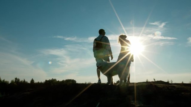 Young couple with a dog at sunset. Back light