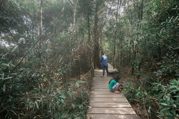 Mother and children travel to the mountains and forests to take pictures on holidays.