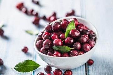 Fresh ripe cranberries in bowl on table close-up
