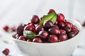 Fresh ripe cranberries in bowl on table close-up
