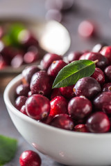 Fresh ripe cranberries in bowl on table close-up