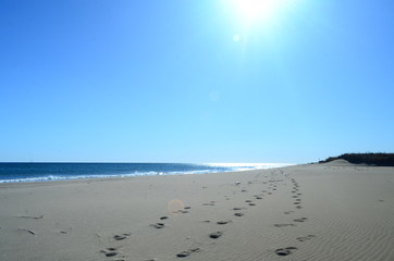 beach and sea