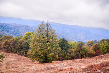 Beautiful autumn nature scenic mountain landscape