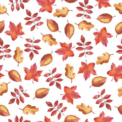 Fototapeta na wymiar Seamless pattern with autumn leaves on white background. Hand drawn watercolor illustration.