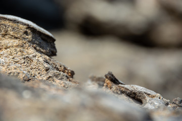 Close up view of central rock with bokeh in background
