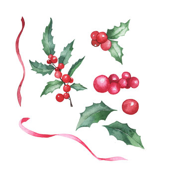 Set of winter plants: holly leaf branch, leaves and berries and red ribbons isolated on white background. Hand drawn watercolor illustration.
