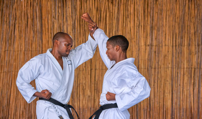 African karate kumite