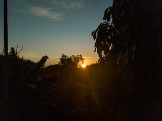 sunrise on the mountain