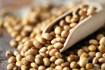 Soya beans. Vegan concept. Healthy diet. Selective focus. Macro.