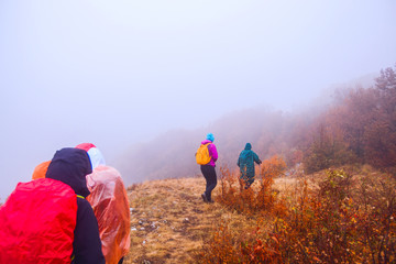 Healthy Lifestyle People Hiking In Nature